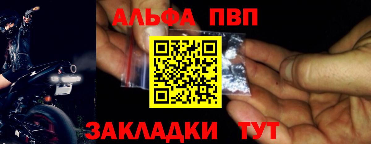 Альфа ПВП СК Кандалакша