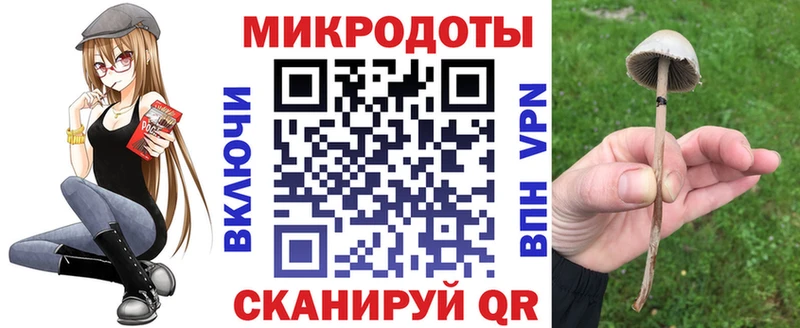 Псилоцибиновые грибы MAGIC MUSHROOMS  гидра сайт  Кандалакша 
